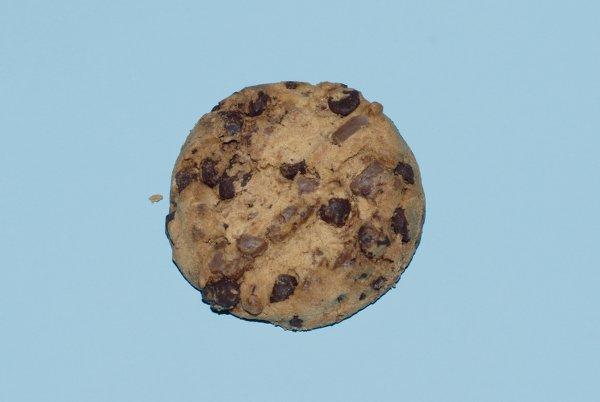 Schokokeks auf blauem Hintergrund